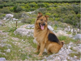 Ella in TRAHILLA